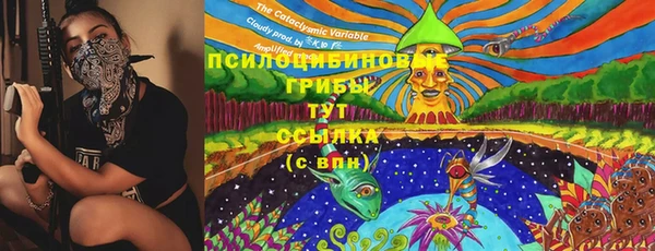 мдма Вяземский