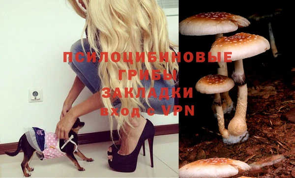 круглые Вязники