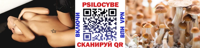 Псилоцибиновые грибы Psilocybine cubensis  Зуевка 
